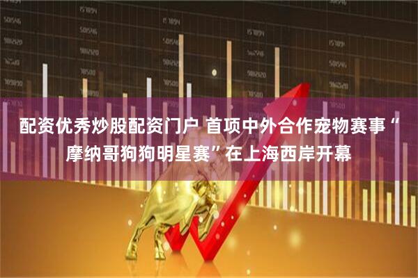 配资优秀炒股配资门户 首项中外合作宠物赛事“摩纳哥狗狗明星赛”在上海西岸开幕